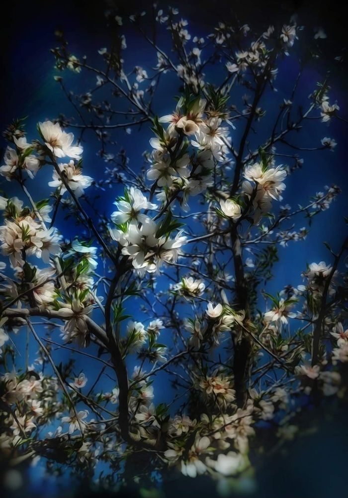 Photograph by Polina Svirida