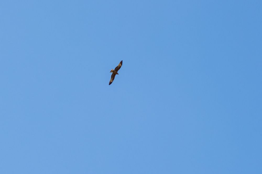 Photograph by Екатерина Рыжкова