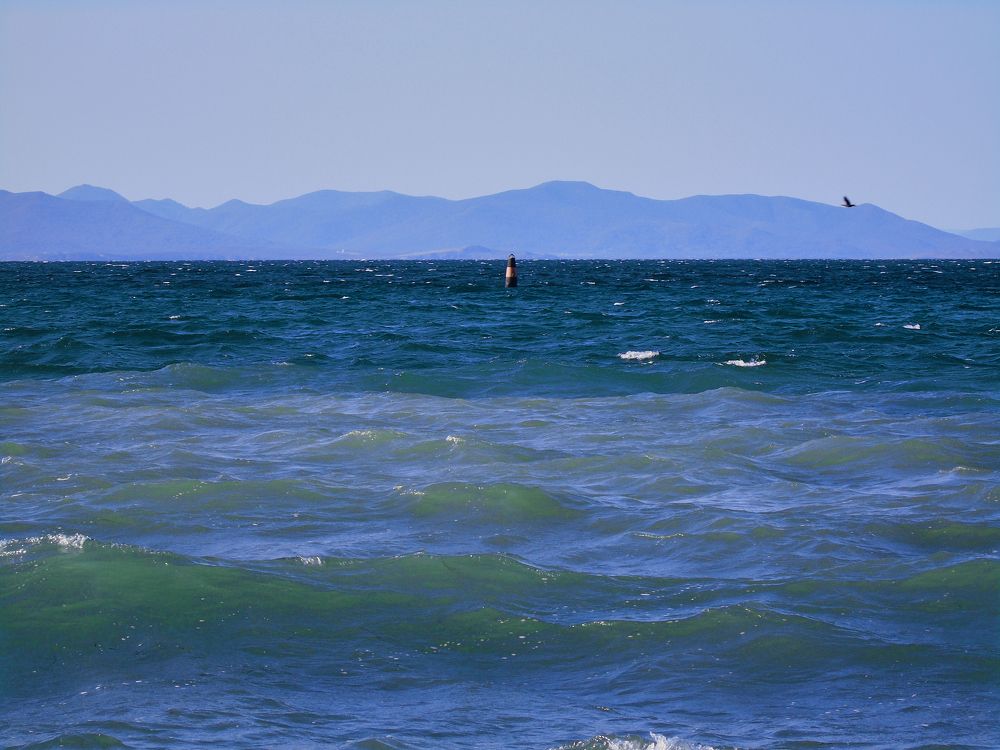 Photograph by Лариса Неман