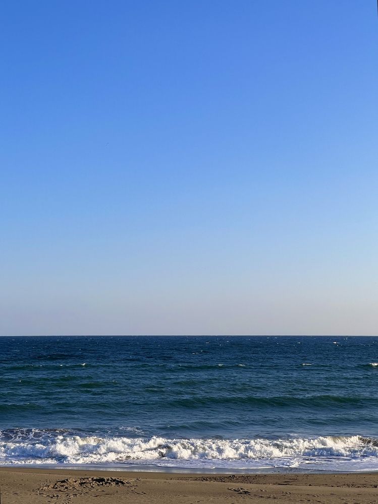 Фотография автора Елена Меньшикова