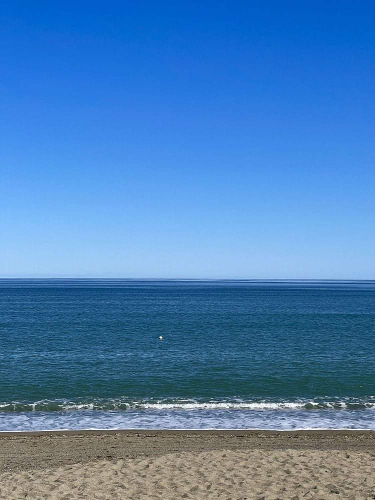 Фотография автора Елена Меньшикова