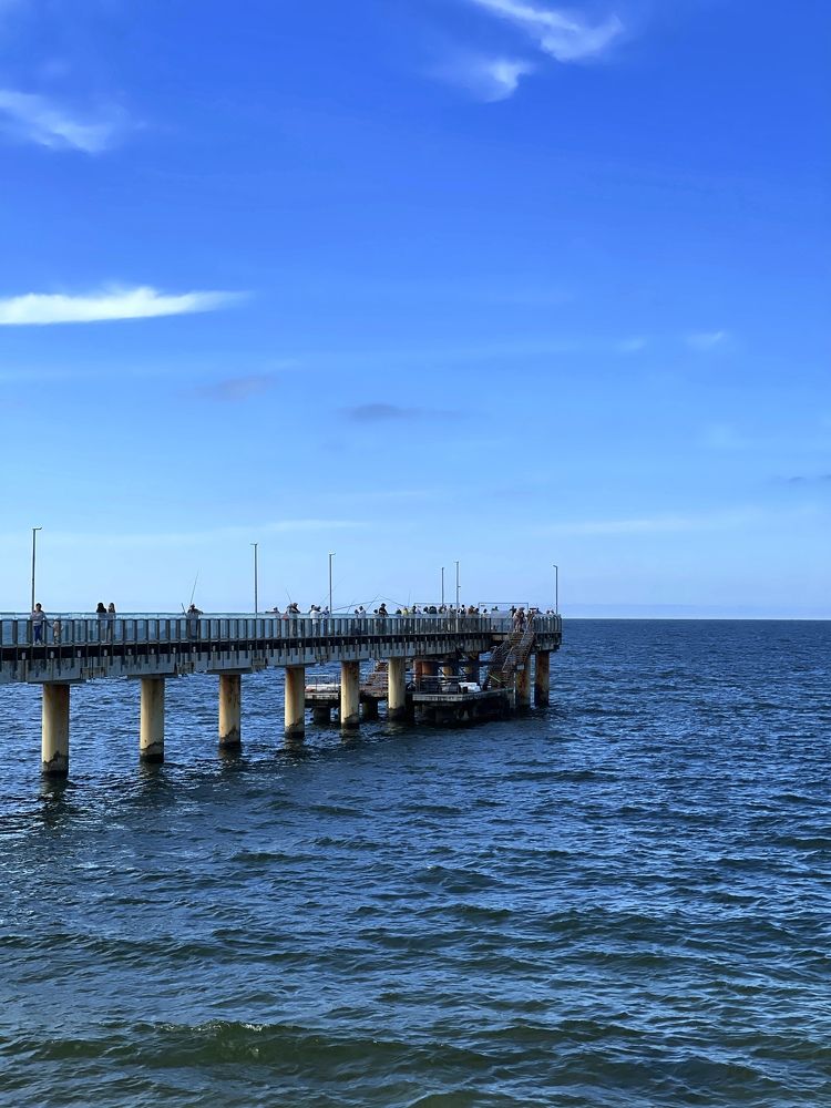 Фотография автора Елена Меньшикова