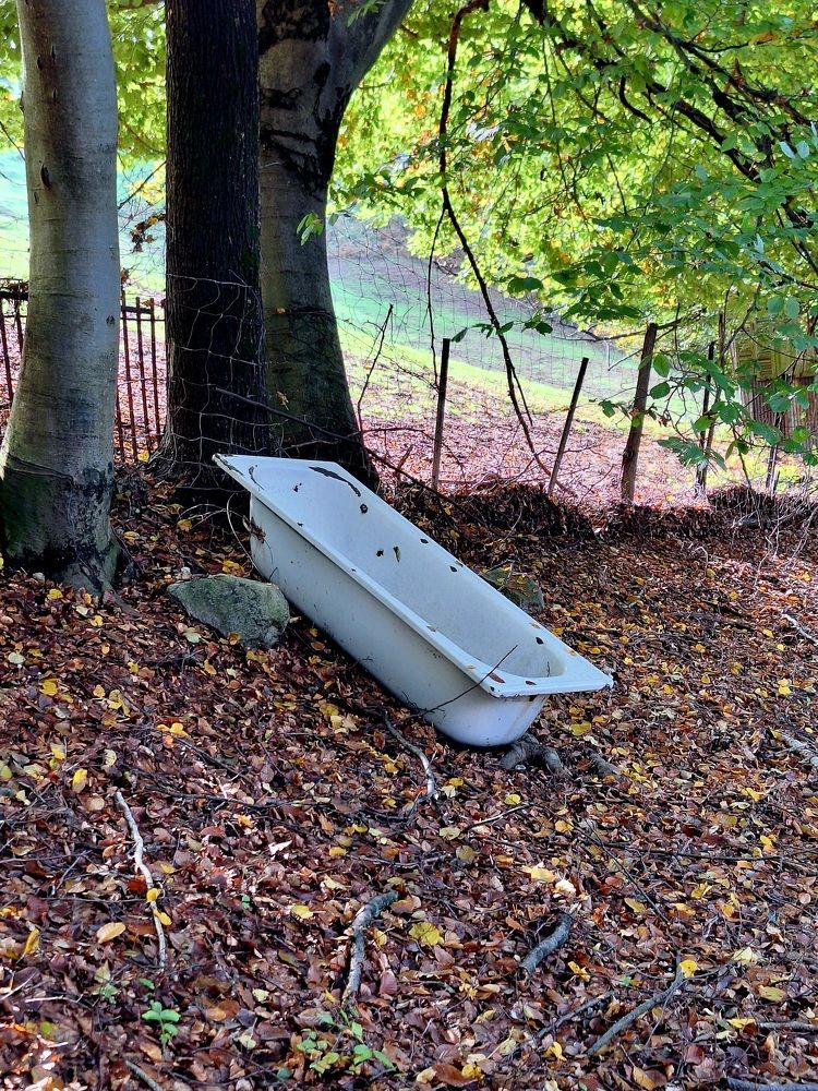 Photograph by Sonia Crotta