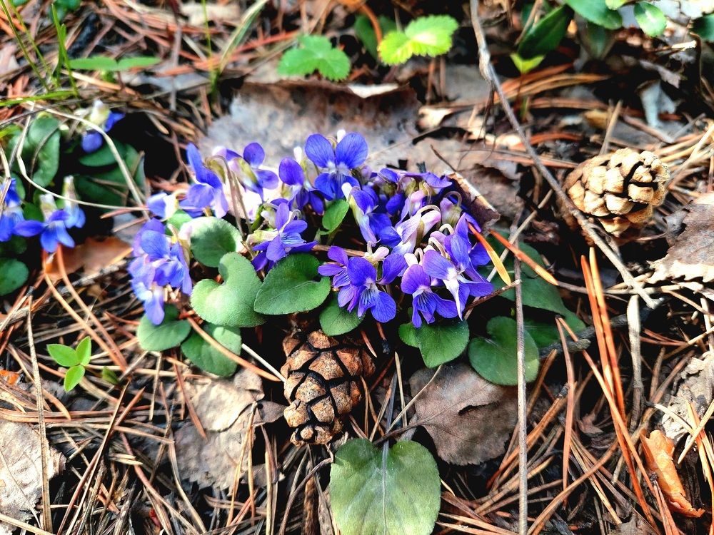 Фотография автора Анастасия Куликова