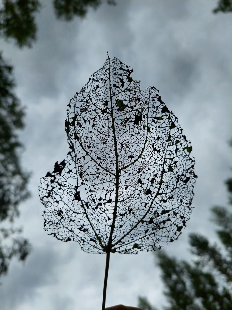 Фотография автора Анастасия Куликова