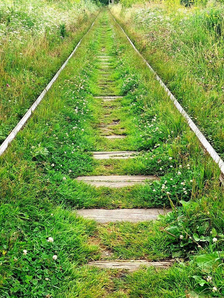 Фотография автора Анастасия Куликова