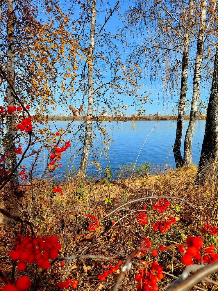 Фотография автора Анастасия Куликова