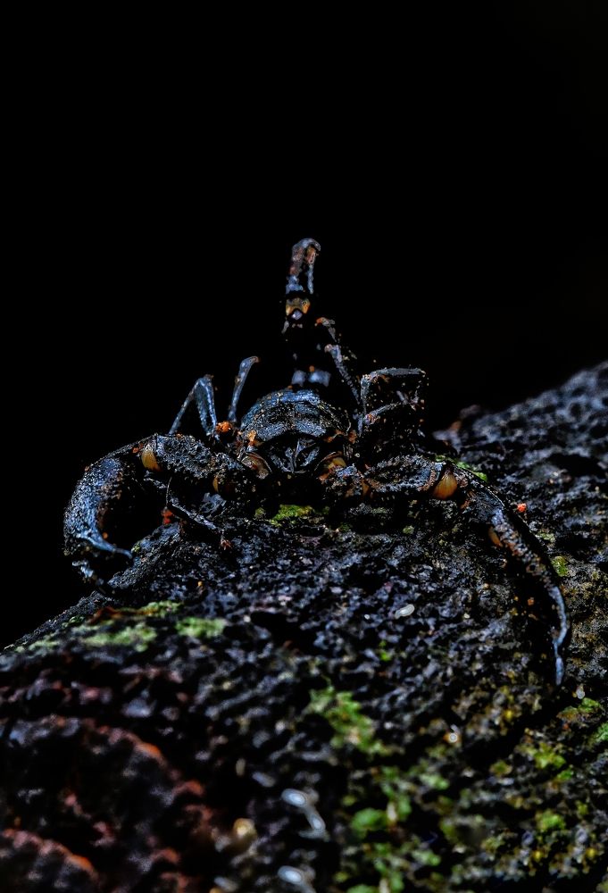 Photograph by George S George