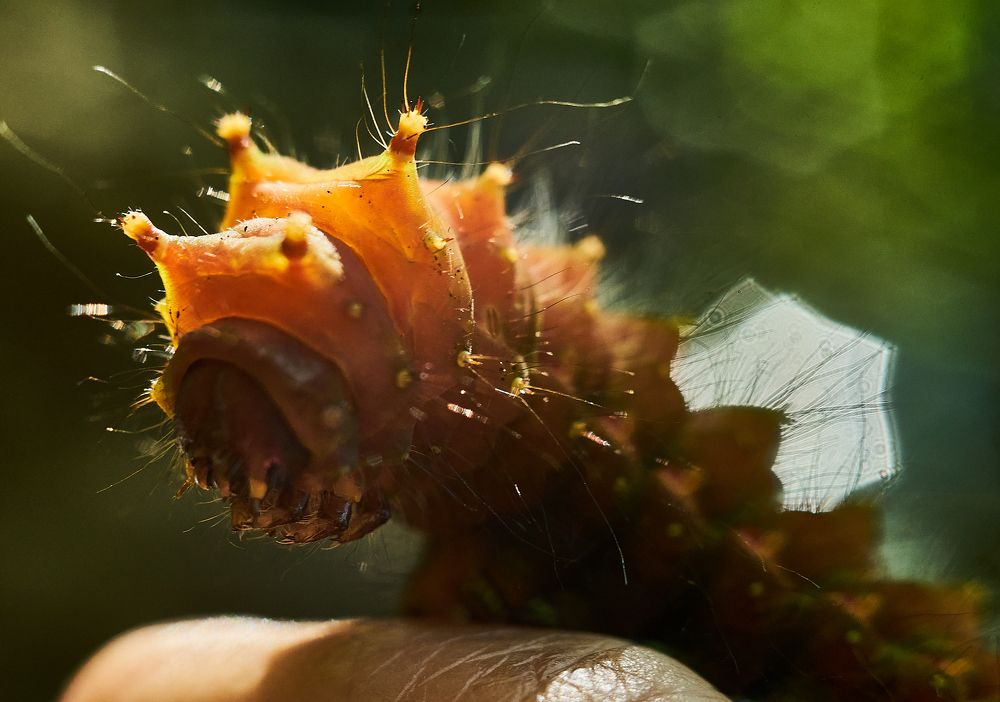 Photograph by Лариса Неман