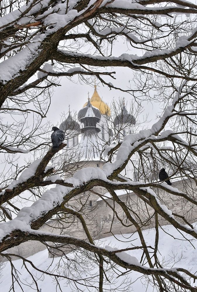 Photograph by Татьяна Абабкова