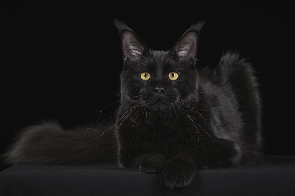 Photograph by Олег Гаричкин