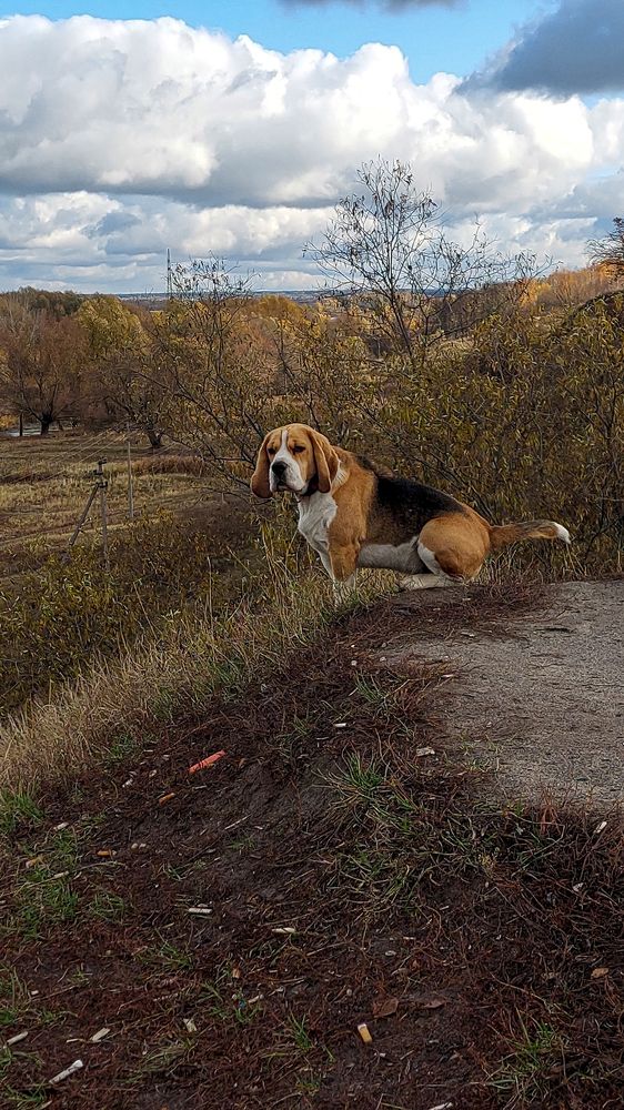 Photograph by Валентина Назина