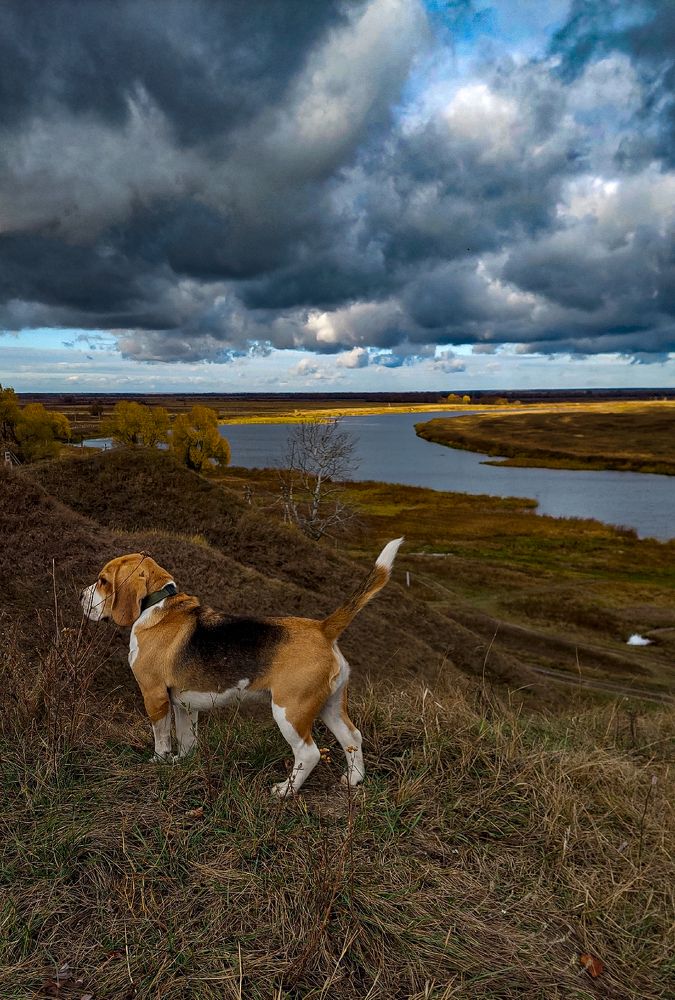 Photograph by Валентина Назина