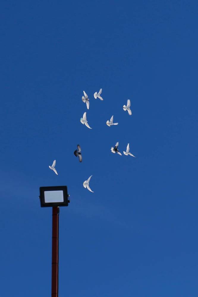 Photograph by Светлана Карнаух