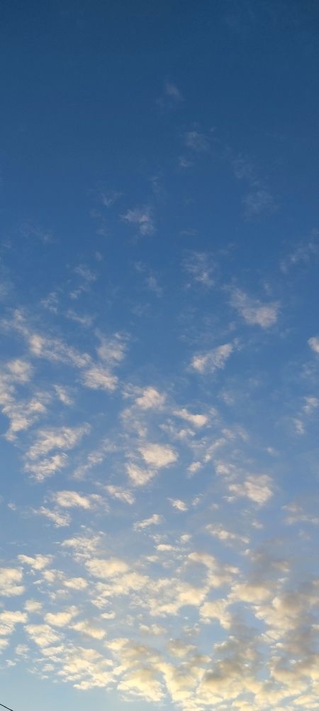 Photograph by Любовь Макарова