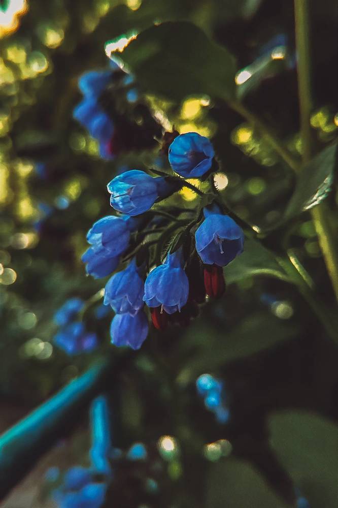 Photograph by Ирина Строкова