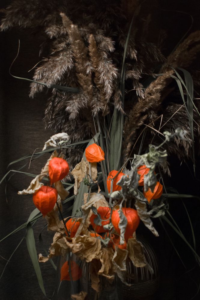 Photograph by NIKOLAY GORBUNOV