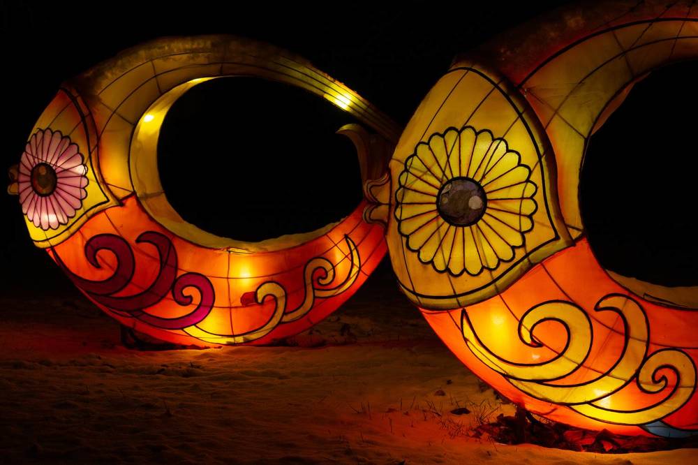 Photograph by Александр Коковихин