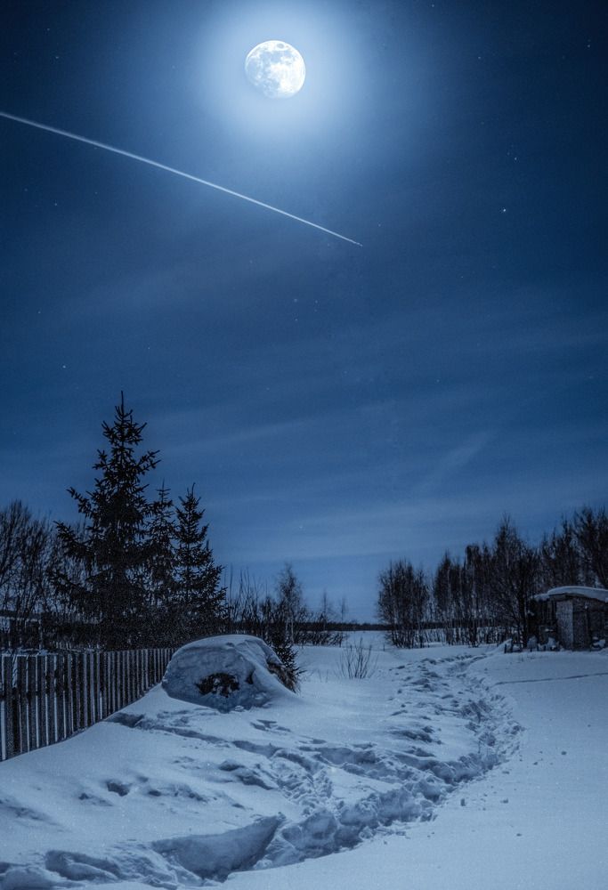 Фотография автора Игорь Васильев