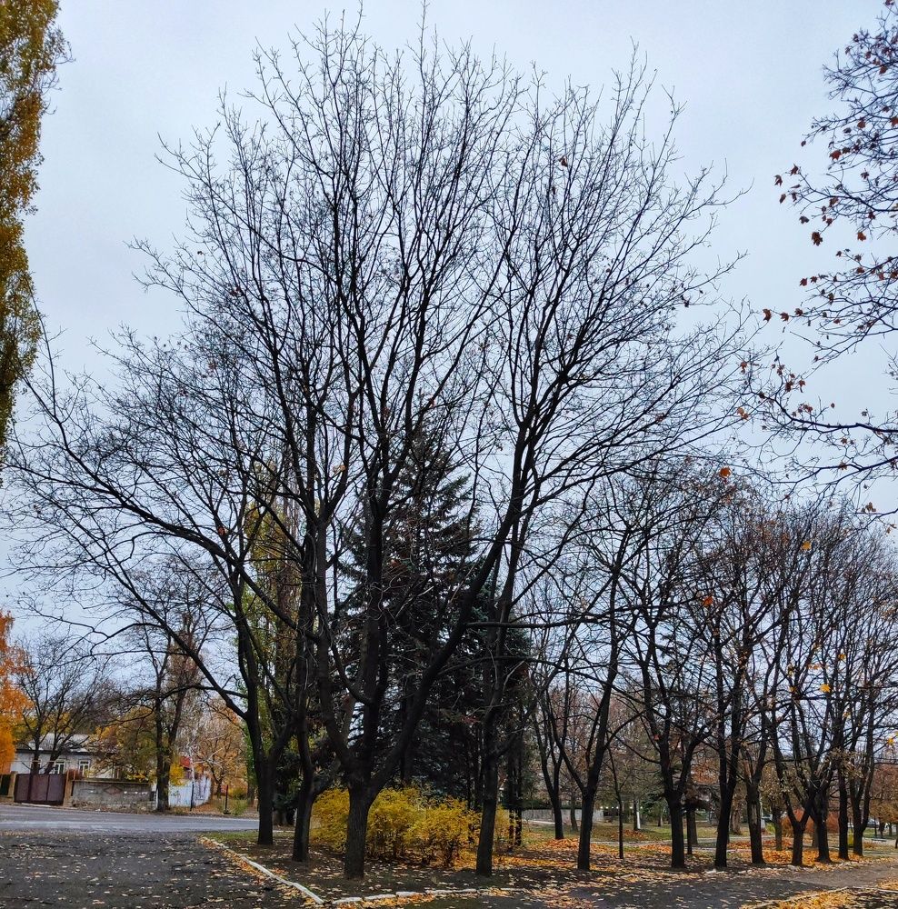 Photograph by Анна Напримерова