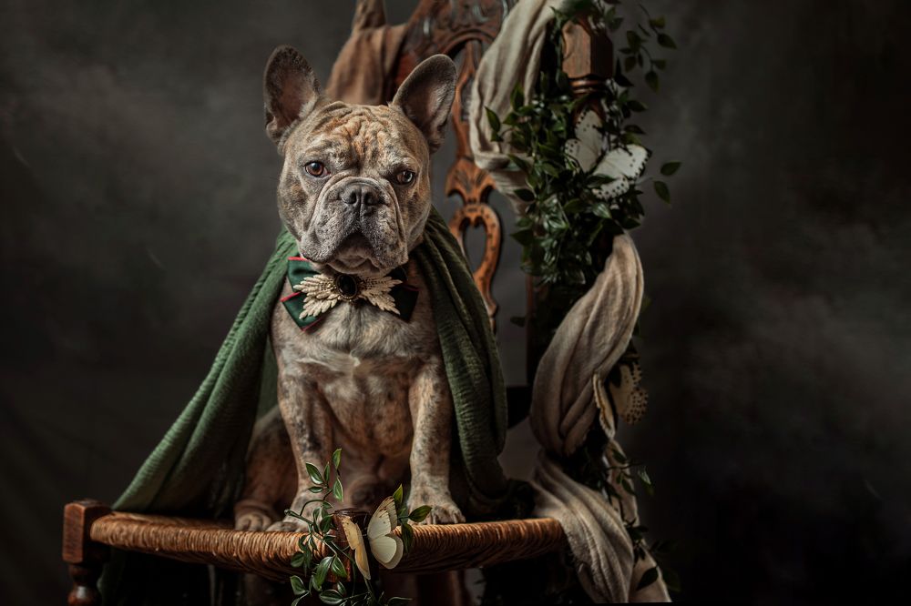 Photograph by Goené Gertrude