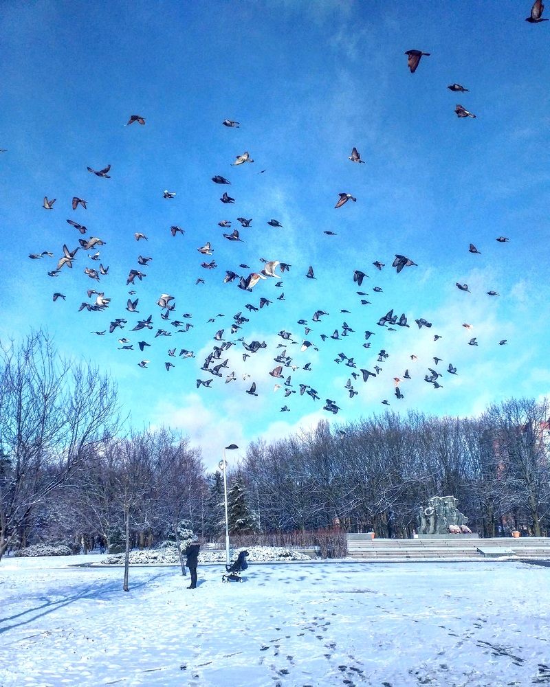 Photograph by Sofia Koshman