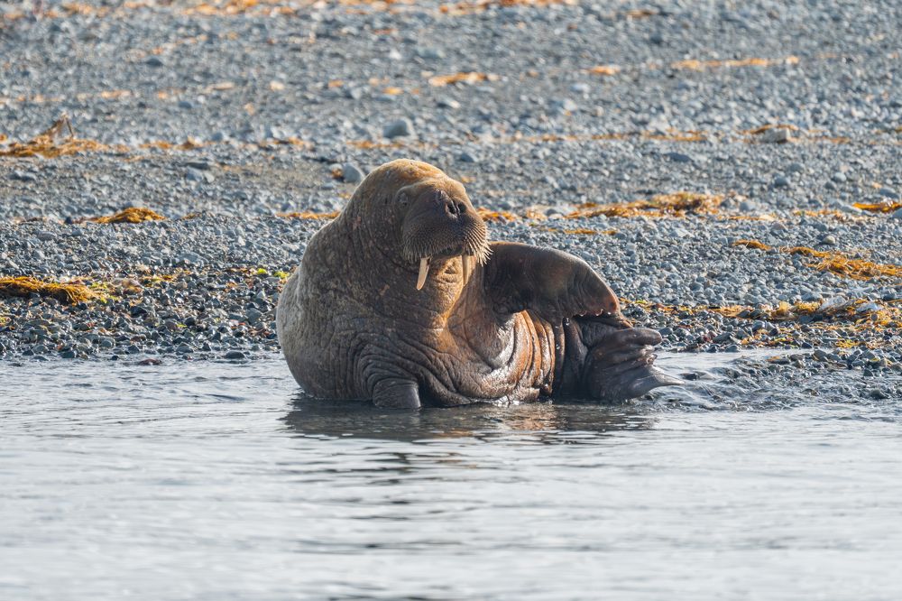 Photograph by Андрей Гусаров