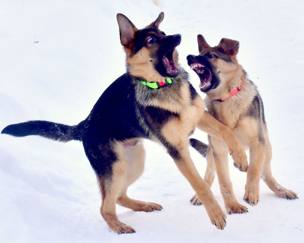 Photograph by Николай Абакумов