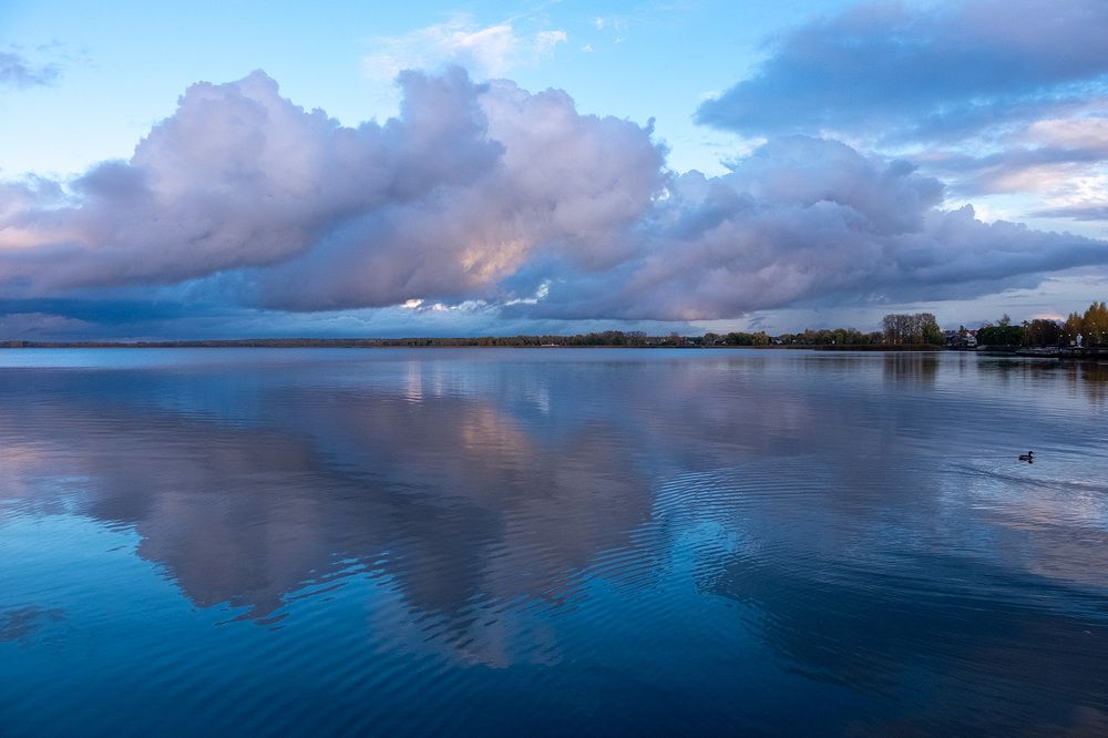 Фотография автора Наталья Липовская