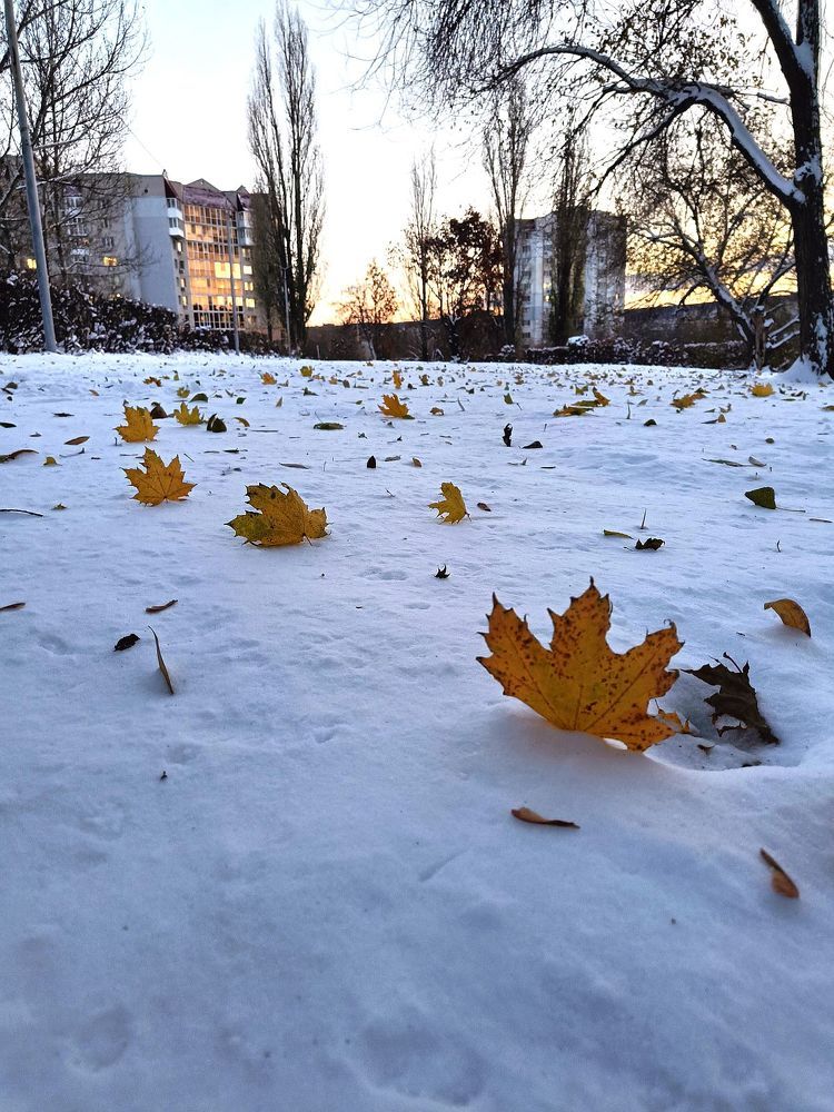 Photograph by Юрий Варюхин