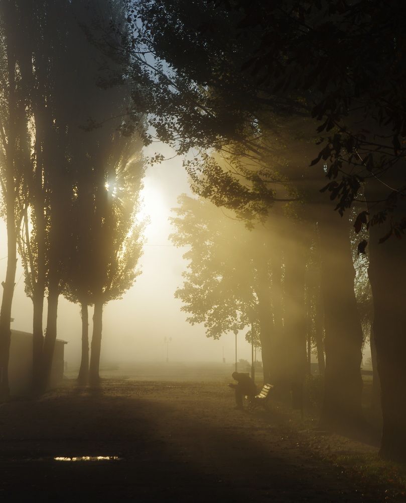 Photograph by Шляга Сергей