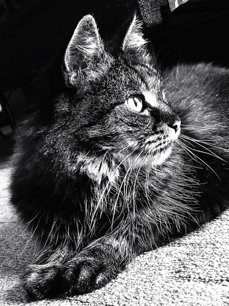 Photograph by Наталья Назаренко