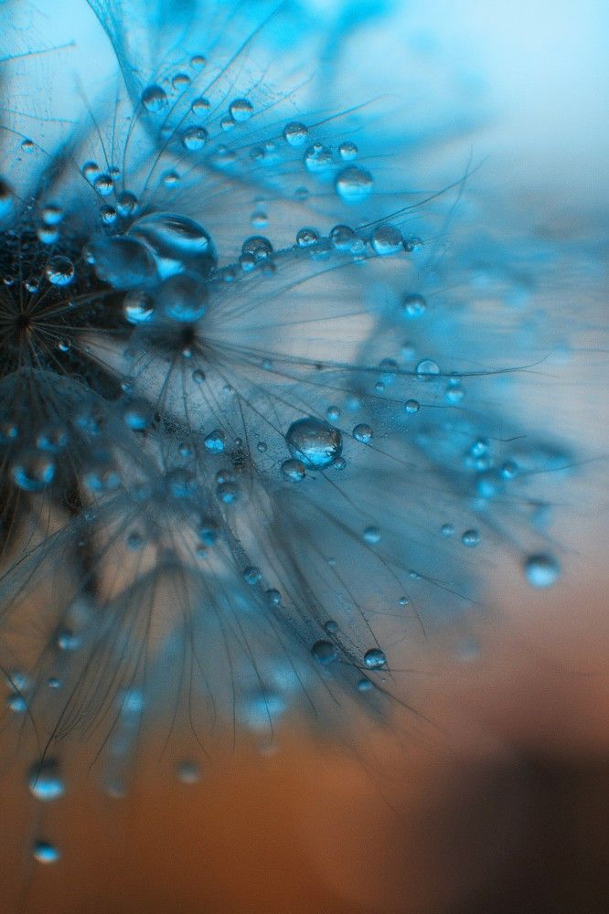 Photograph by Татьяна Максакова