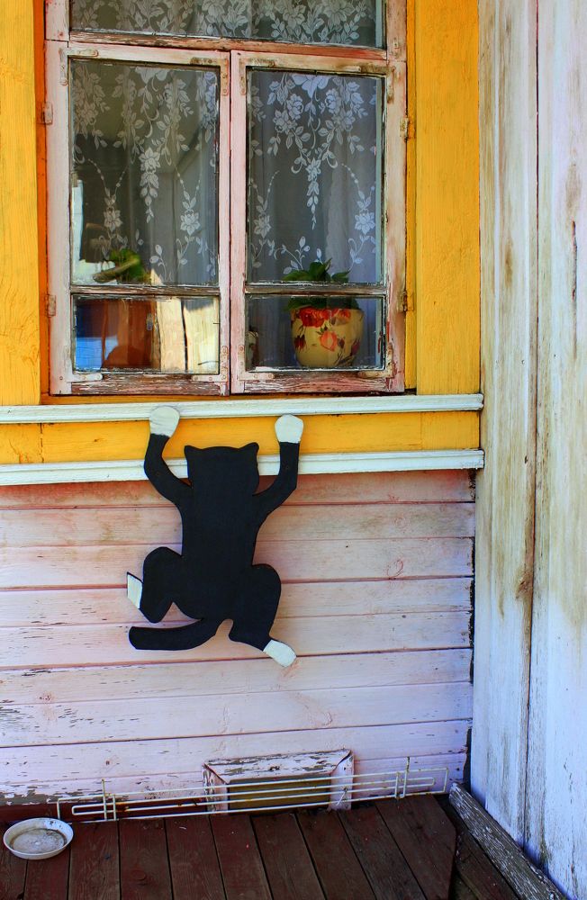 Фотография автора Nelya  Lysenko