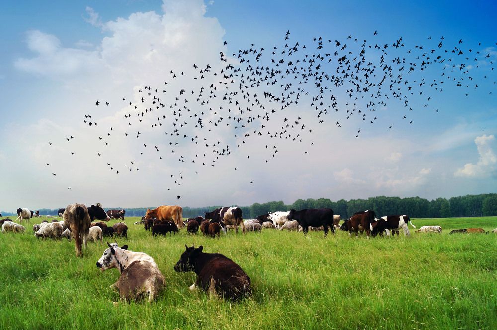 Photograph by Мишустина Татьяна