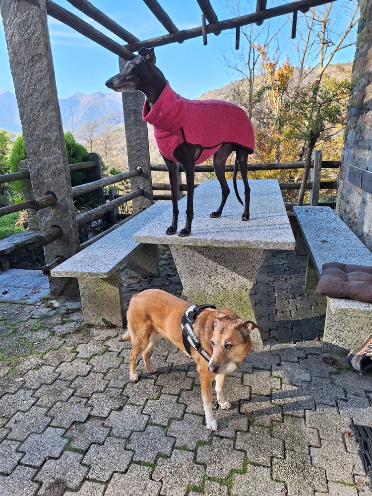 Photograph by Sonia Crotta