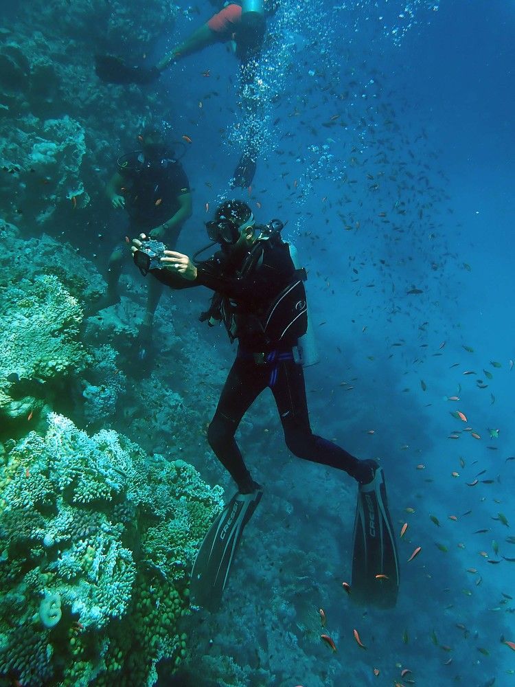 Photograph by Игорь Пшеничников