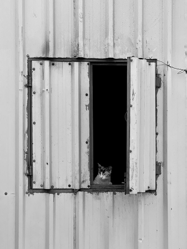 Photograph by sagar pavale