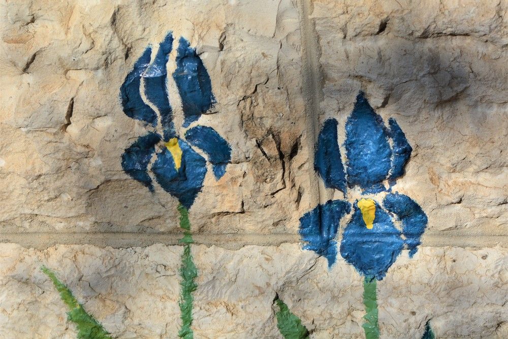 Фотография автора Ася Бабушкина