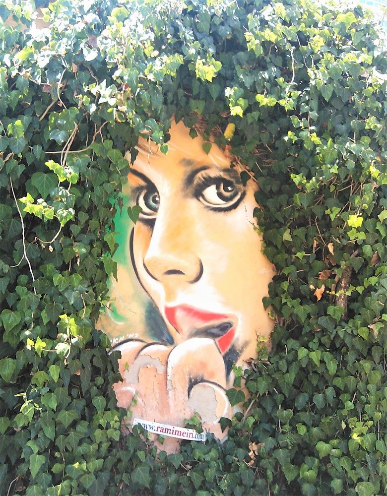 Фотография автора Ася Бабушкина