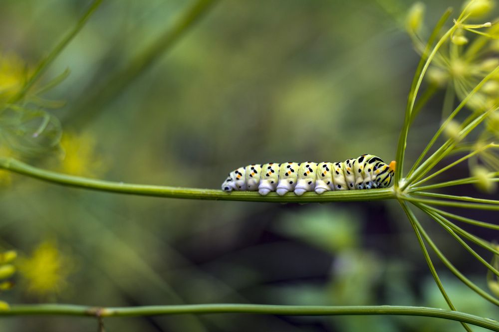 Photograph by Ольга Адольф