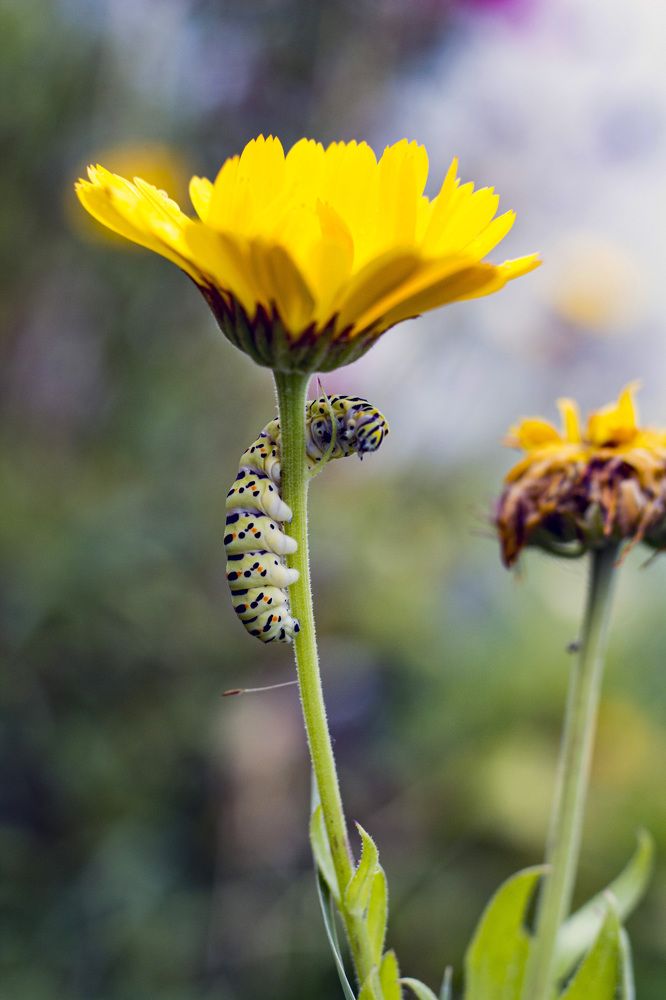 Photograph by Ольга Адольф