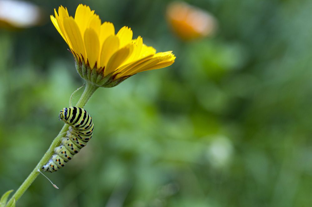 Photograph by Ольга Адольф