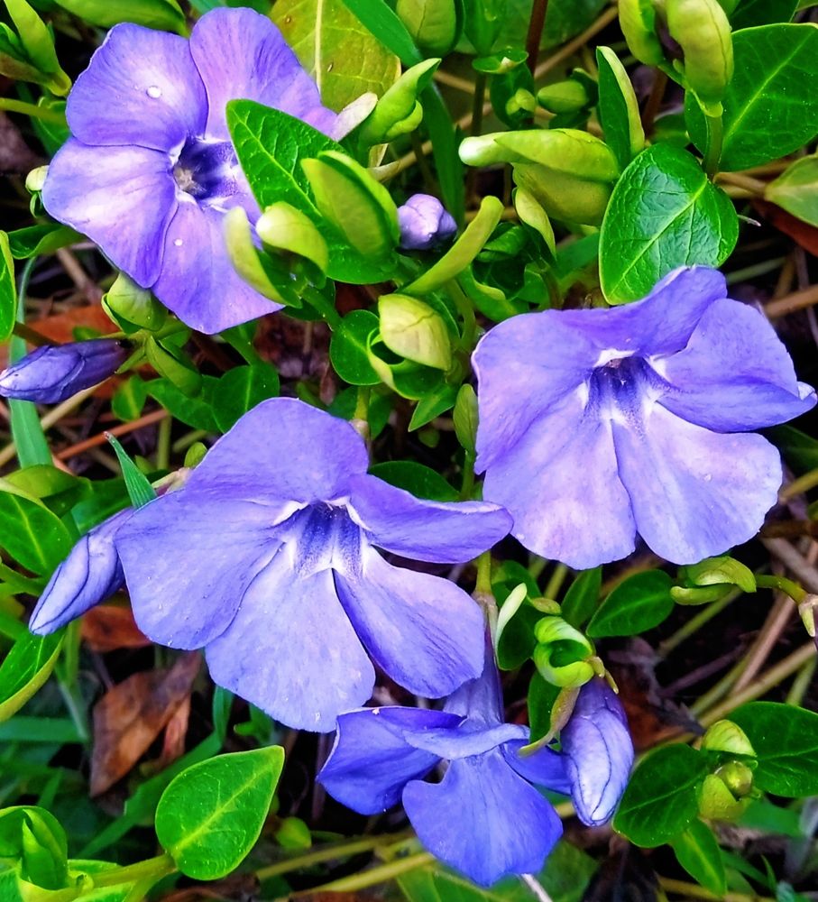 Photograph by Наталья Назаренко