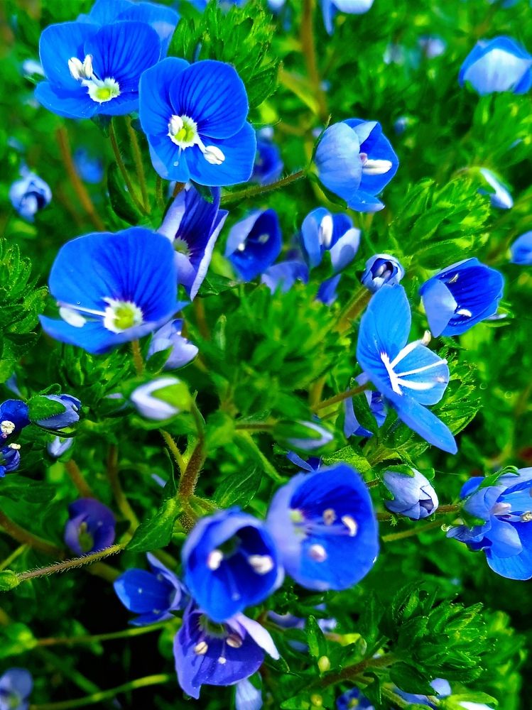 Photograph by Наталья Назаренко