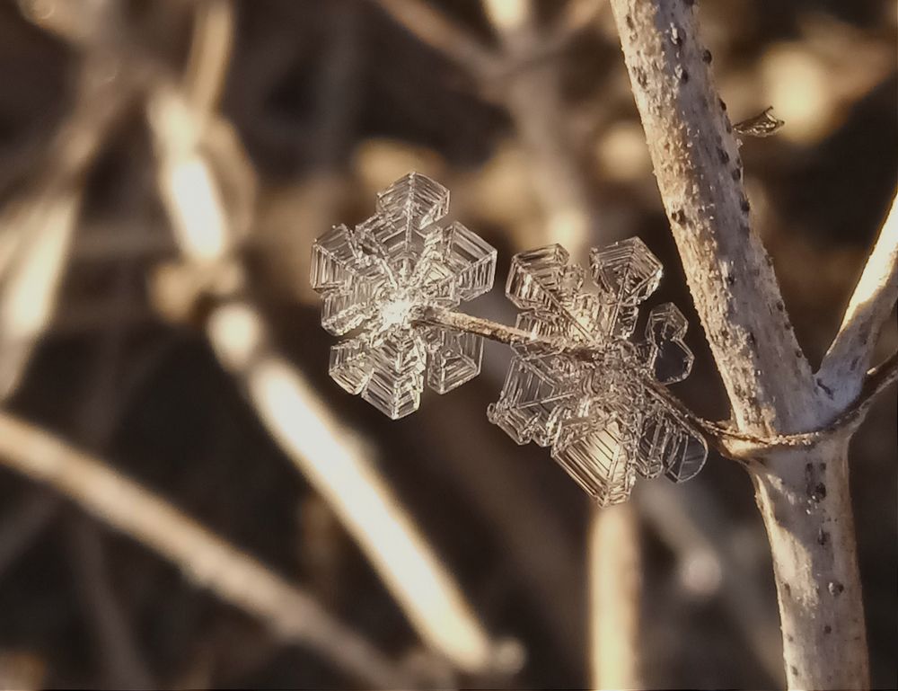 Photograph by Янина Черпухина-Андреева