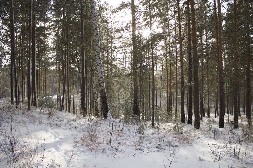 Photograph by Баженова Наталья