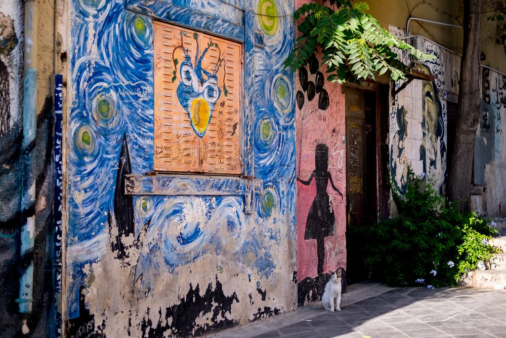 Фотография автора Omar Sanad