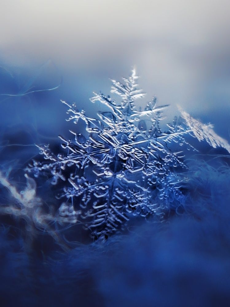 Photograph by Yuliya Karpova