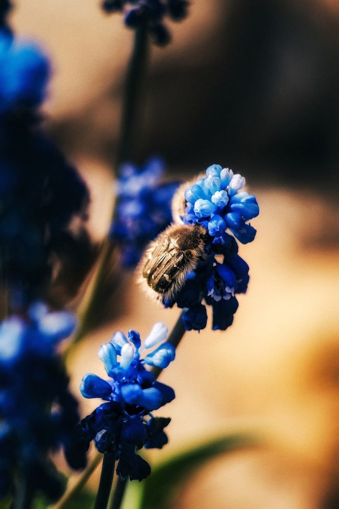 Photograph by Yuliya Karpova